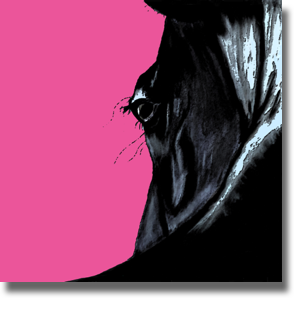 Horse - Pink Horse - Pink